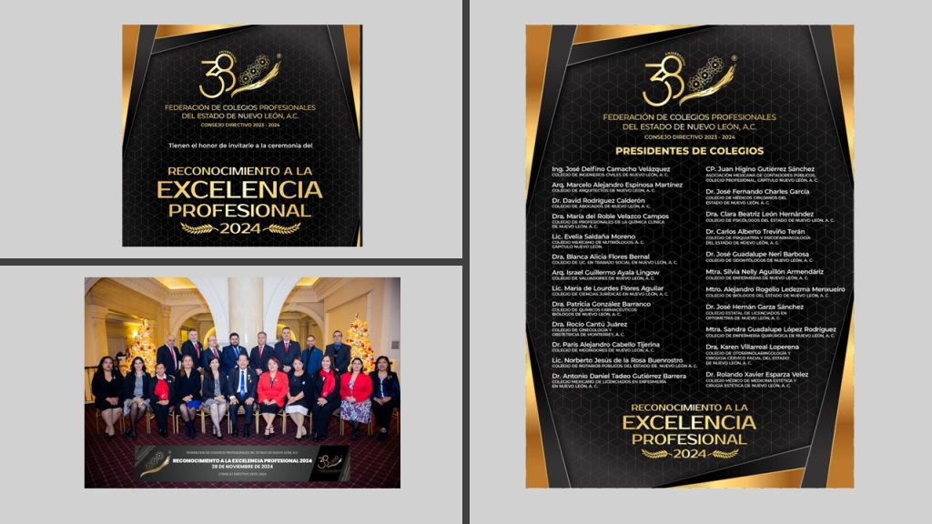 RECONOCIMIENTO A LA EXCELENCIA PROFESIONAL 2024 – 2 – Federación de ...